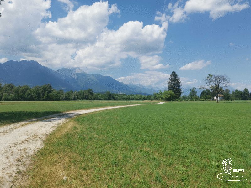 {f:if(condition: notitle, then: '', else: (file.title ?: ''))} {f:if(condition: altText, then: altText, else: (file.alternative ?: (file.title ?: file.name)))}