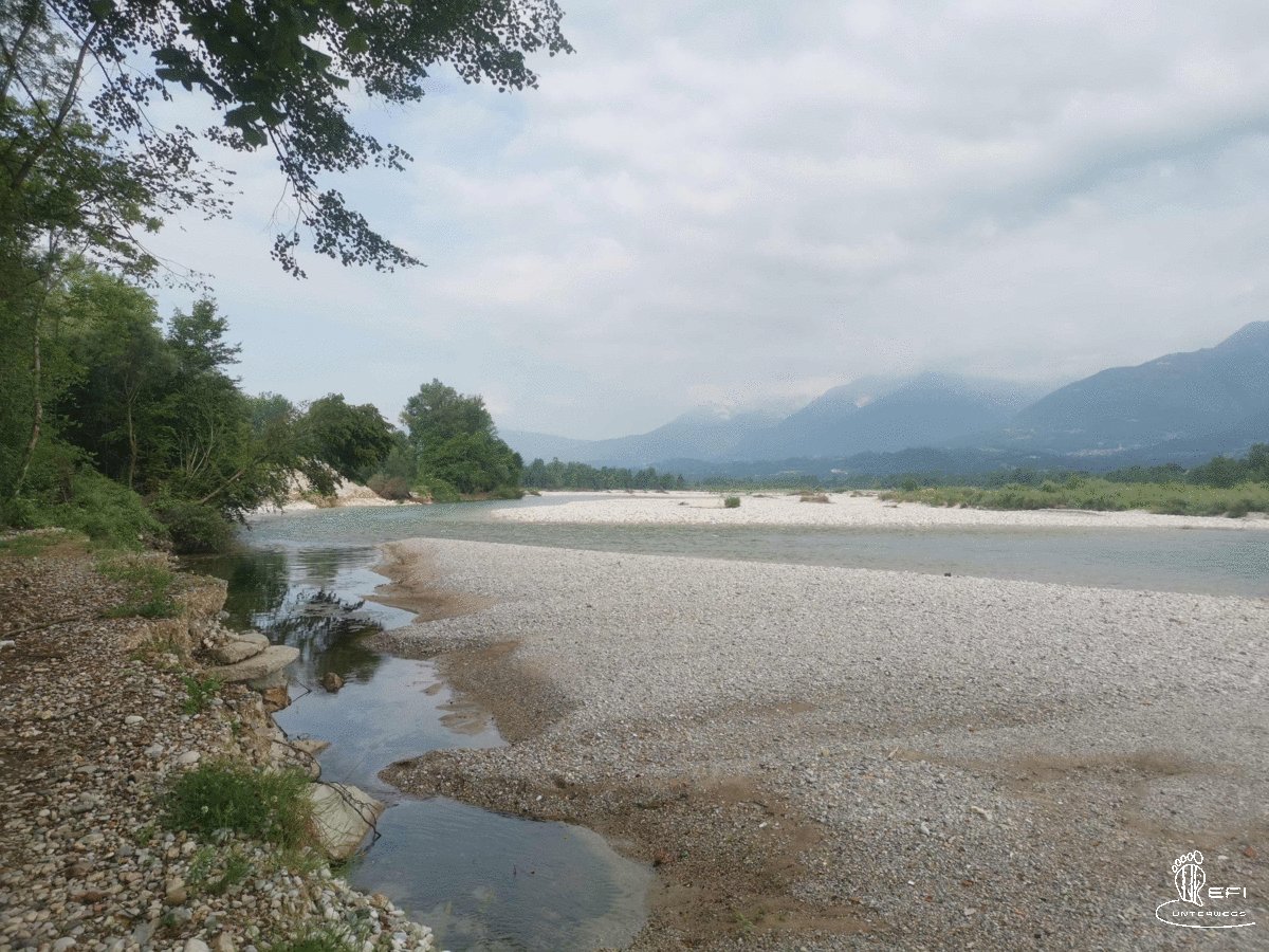 {f:if(condition: notitle, then: '', else: (file.title ?: ''))} {f:if(condition: altText, then: altText, else: (file.alternative ?: (file.title ?: file.name)))}