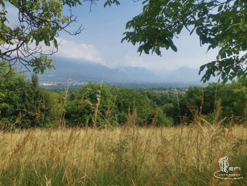 {f:if(condition: notitle, then: '', else: (file.title ?: ''))} {f:if(condition: altText, then: altText, else: (file.alternative ?: (file.title ?: file.name)))}
