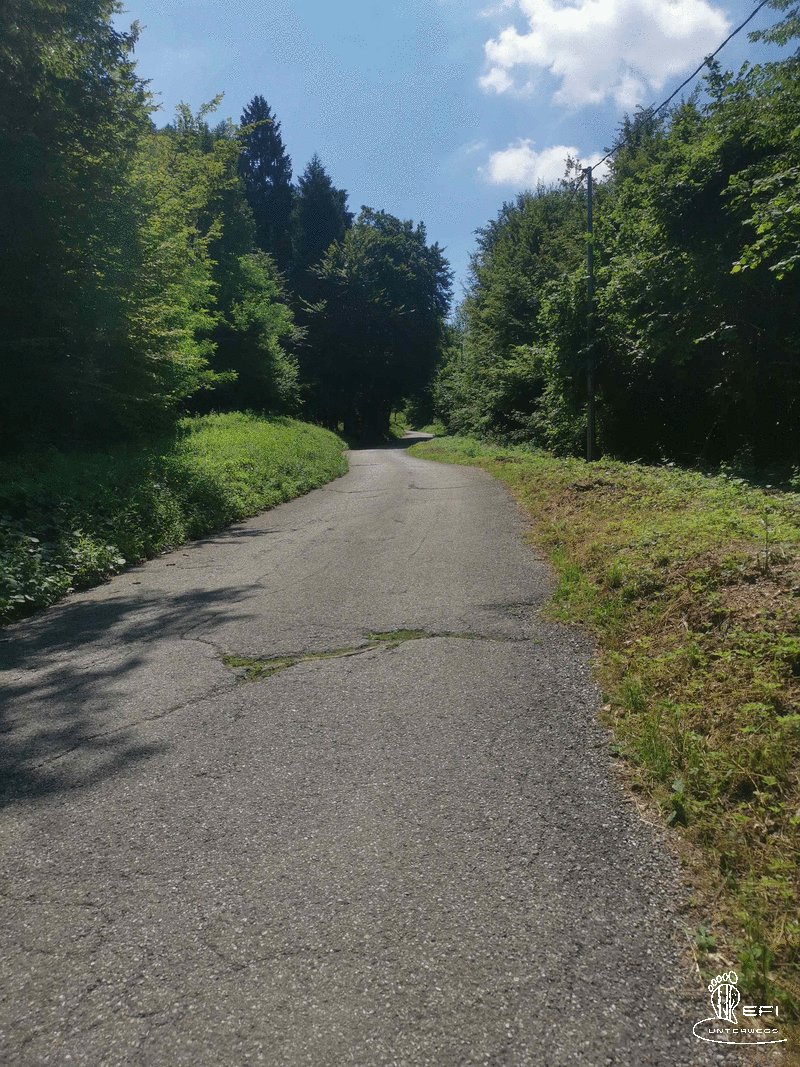 {f:if(condition: notitle, then: '', else: (file.title ?: ''))} {f:if(condition: altText, then: altText, else: (file.alternative ?: (file.title ?: file.name)))}