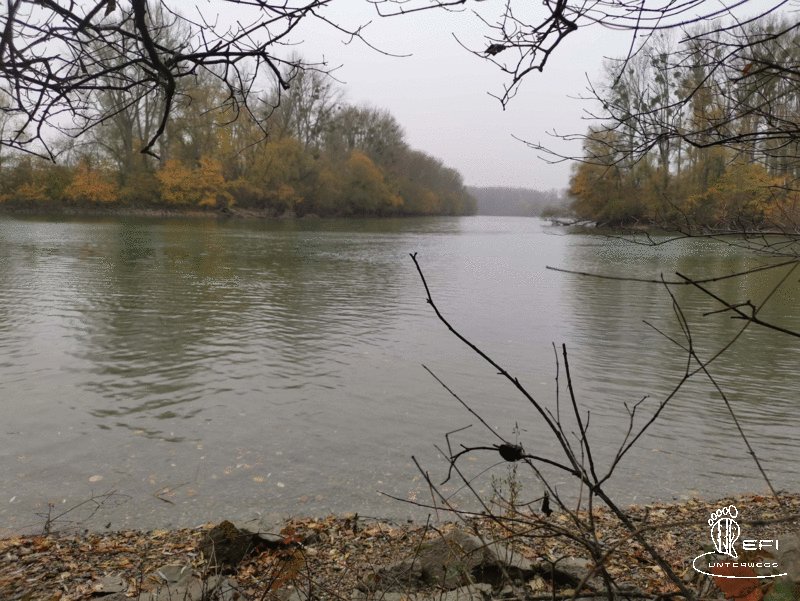 {f:if(condition: altText, then: altText, else: (file.alternative ?: (file.title ?: file.name)))}