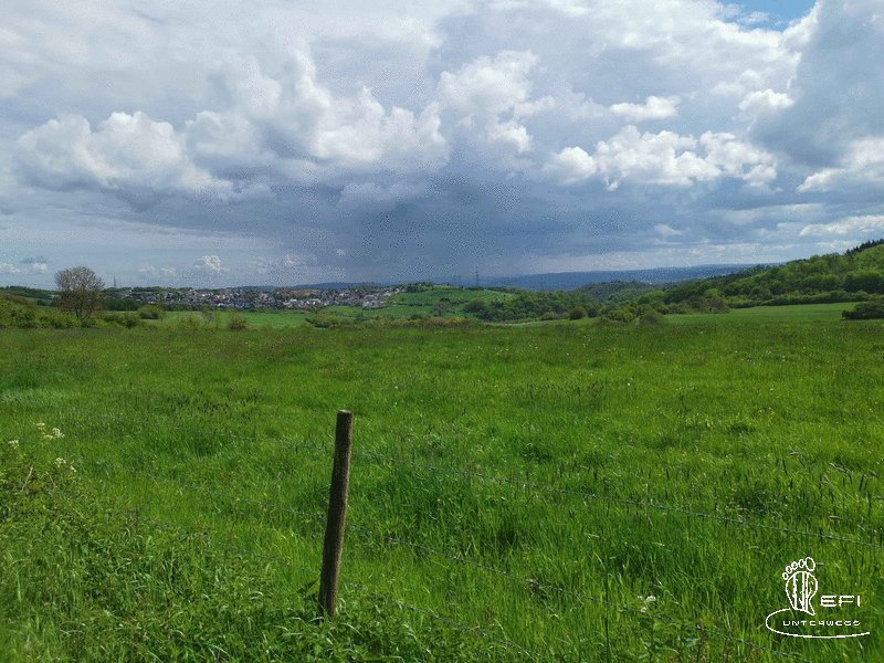 {f:if(condition: notitle, then: '', else: (file.title ?: ''))} {f:if(condition: altText, then: altText, else: (file.alternative ?: (file.title ?: file.name)))}