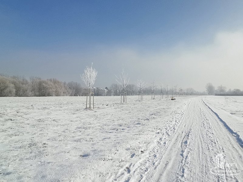 {f:if(condition: altText, then: altText, else: (file.alternative ?: (file.title ?: file.name)))}